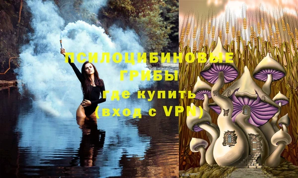 каннабис Беломорск